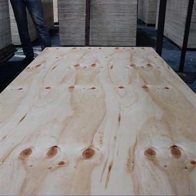 Kostruzzjoni Grad CDX Pine Plywood